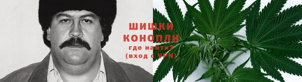 ГАЛЛЮЦИНОГЕННЫЕ ГРИБЫ Алексеевка