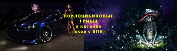 ГАЛЛЮЦИНОГЕННЫЕ ГРИБЫ Алексеевка