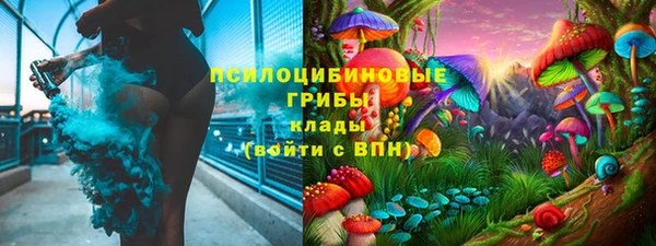 СК Мегион