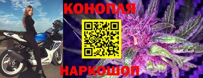 прущие грибы Партизанск