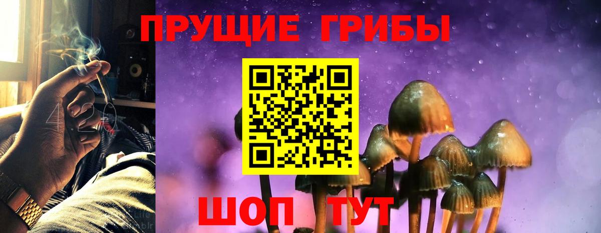 где продают наркотики  Галлюциногенные грибы Magic Shrooms  Вход с VPN  Галлюциногенные грибы MAGIC MUSHROOMS  Чебоксары 